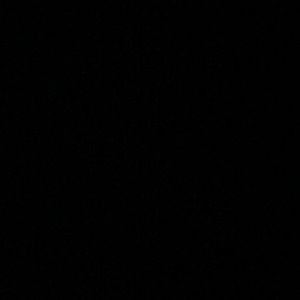 Meet your Posher, Gianna